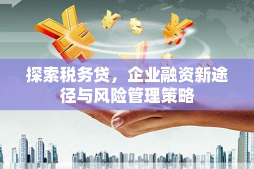 镇雄探索税务贷，企业融资新途径与风险管理策略