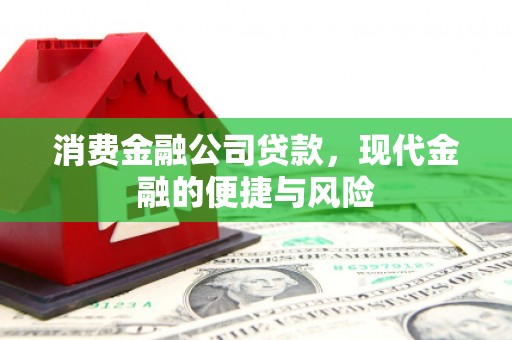 镇雄消费金融公司贷款，现代金融的便捷与风险