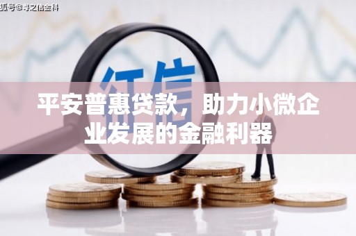 镇雄平安普惠贷款，助力小微企业发展的金融利器