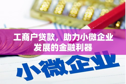 镇雄工商户贷款，助力小微企业发展的金融利器