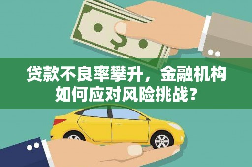 镇雄贷款不良率攀升，金融机构如何应对风险挑战？