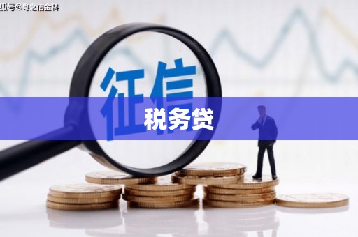 镇雄税务贷
