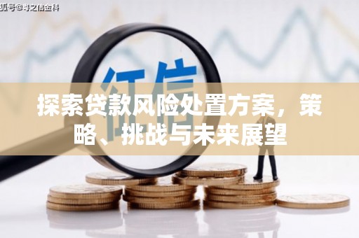 镇雄探索贷款风险处置方案，策略、挑战与未来展望