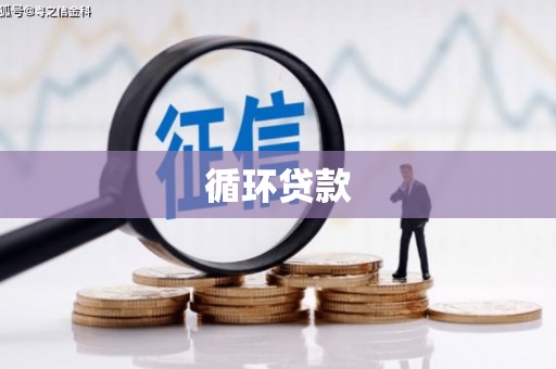 镇雄循环贷款