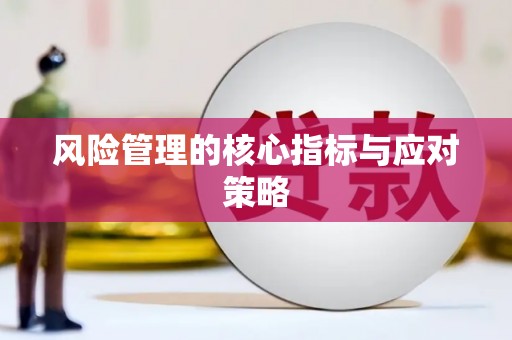 镇雄风险管理的核心指标与应对策略