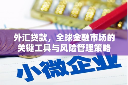 镇雄外汇贷款，全球金融市场的关键工具与风险管理策略