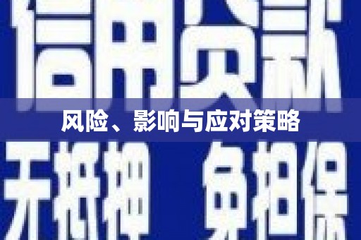 镇雄风险、影响与应对策略
