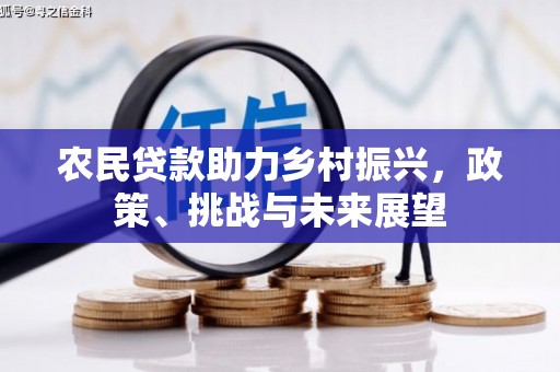 镇雄农民贷款助力乡村振兴，政策、挑战与未来展望