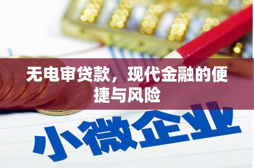 镇雄无电审贷款，现代金融的便捷与风险