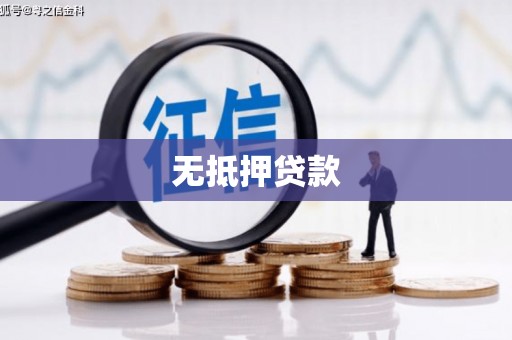 镇雄无抵押贷款