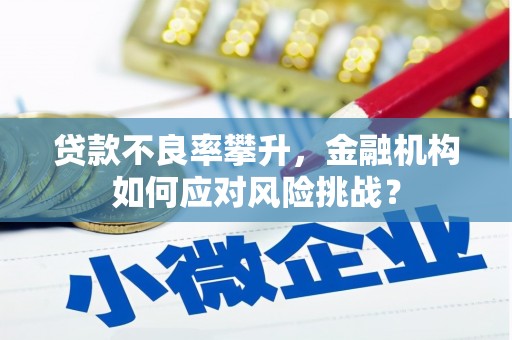 镇雄贷款不良率攀升，金融机构如何应对风险挑战？