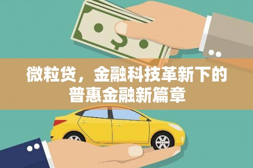镇雄微粒贷，金融科技革新下的普惠金融新篇章