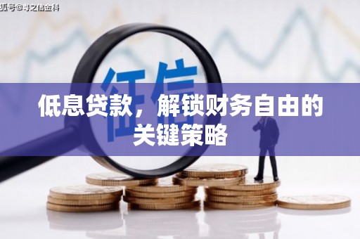 镇雄低息贷款，解锁财务自由的关键策略
