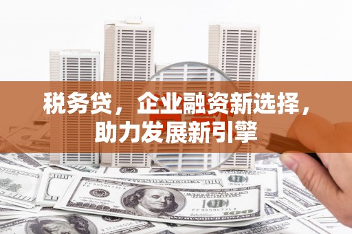 镇雄税务贷，企业融资新选择，助力发展新引擎