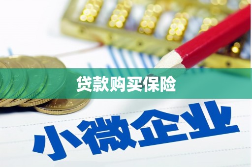 镇雄贷款购买保险