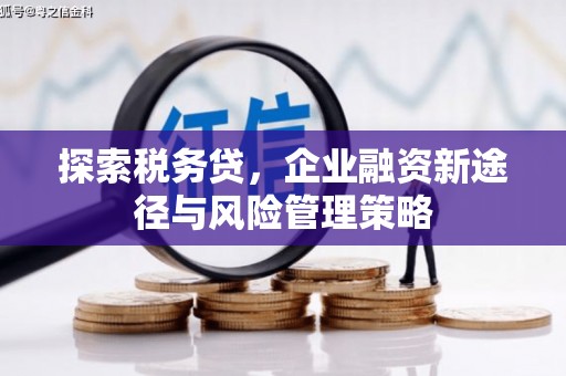 镇雄探索税务贷，企业融资新途径与风险管理策略