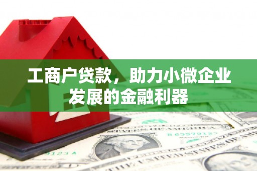 镇雄工商户贷款，助力小微企业发展的金融利器