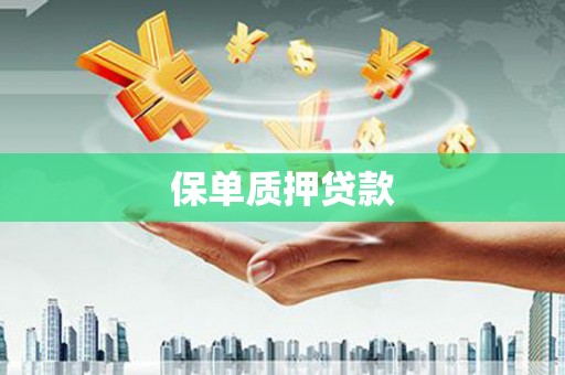 镇雄保单质押贷款