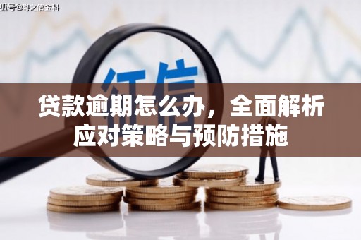 镇雄贷款逾期怎么办，全面解析应对策略与预防措施