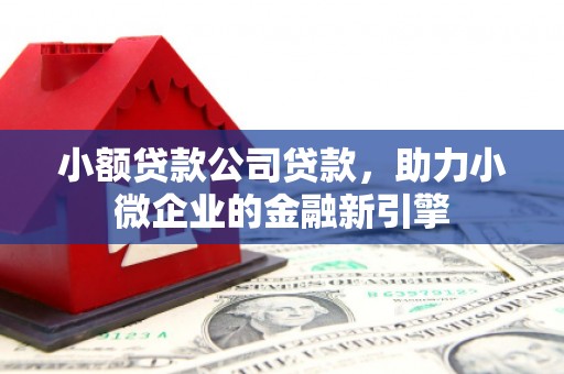 镇雄小额贷款公司贷款，助力小微企业的金融新引擎