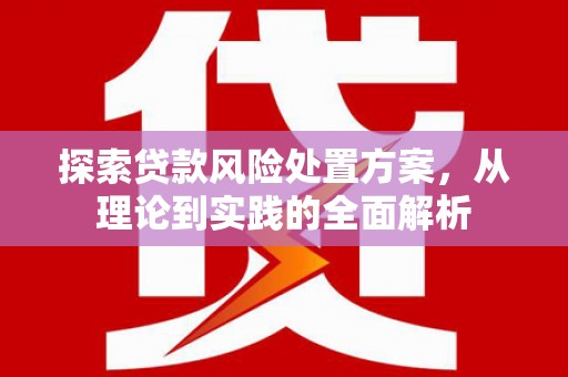 镇雄探索贷款风险处置方案，从理论到实践的全面解析