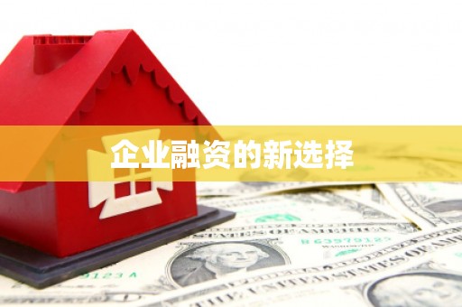 镇雄企业融资的新选择