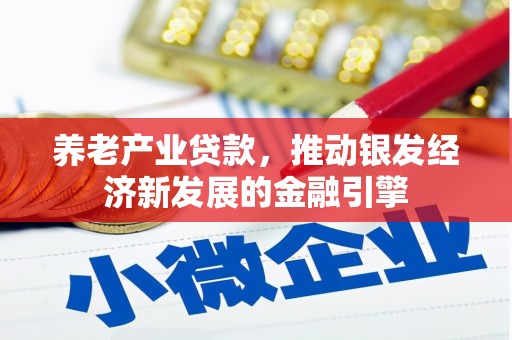 镇雄养老产业贷款，推动银发经济新发展的金融引擎