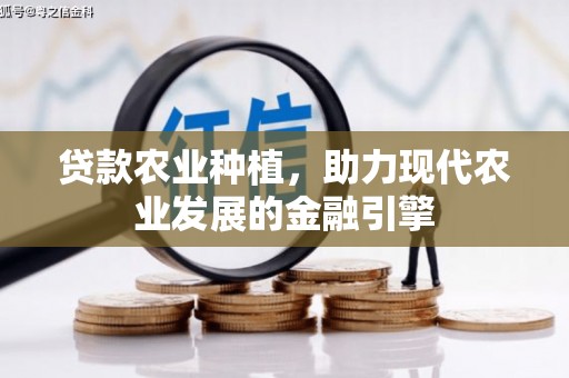 镇雄贷款农业种植，助力现代农业发展的金融引擎