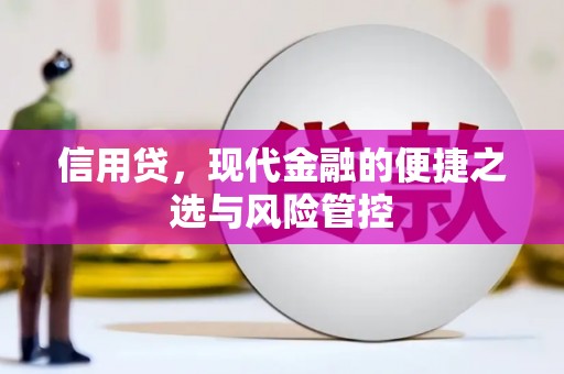 镇雄信用贷，现代金融的便捷之选与风险管控