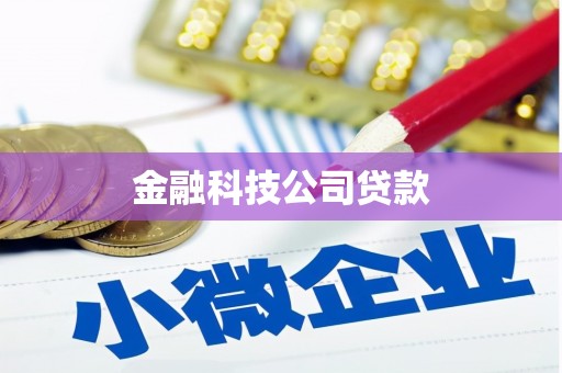 镇雄金融科技公司贷款