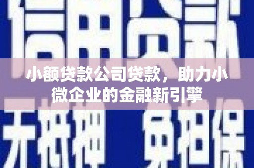 镇雄小额贷款公司贷款，助力小微企业的金融新引擎