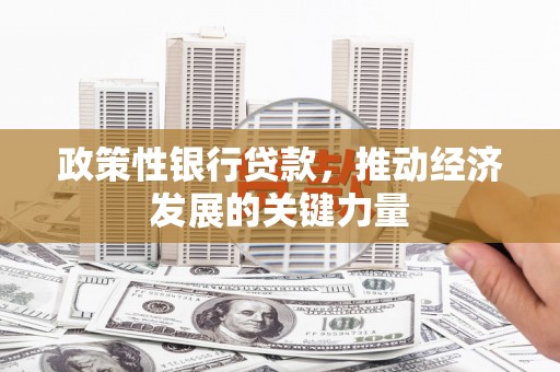 镇雄政策性银行贷款，推动经济发展的关键力量