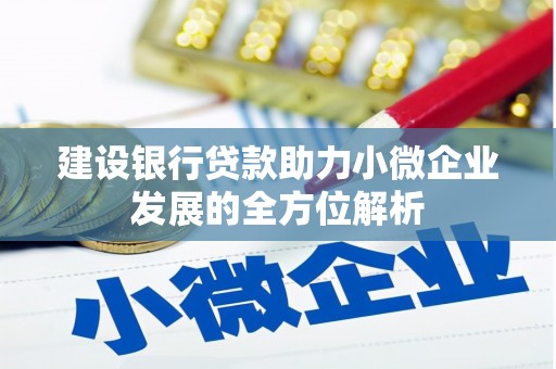镇雄建设银行贷款助力小微企业发展的全方位解析