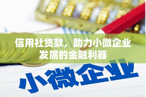 镇雄信用社贷款，助力小微企业发展的金融利器