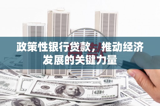 镇雄政策性银行贷款，推动经济发展的关键力量