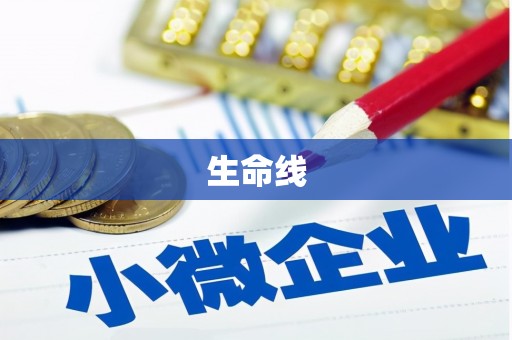 镇雄生命线