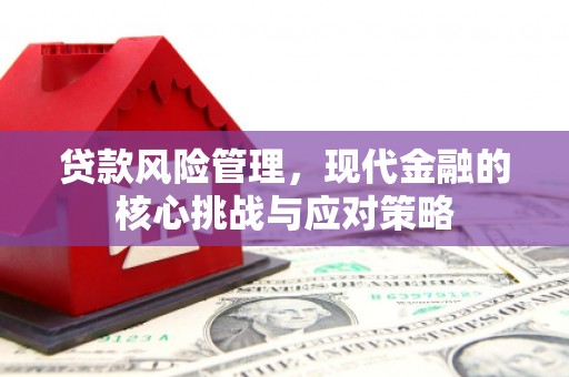 镇雄贷款风险管理，现代金融的核心挑战与应对策略