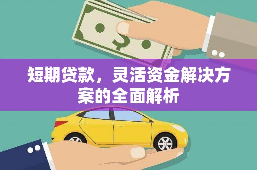 镇雄短期贷款，灵活资金解决方案的全面解析