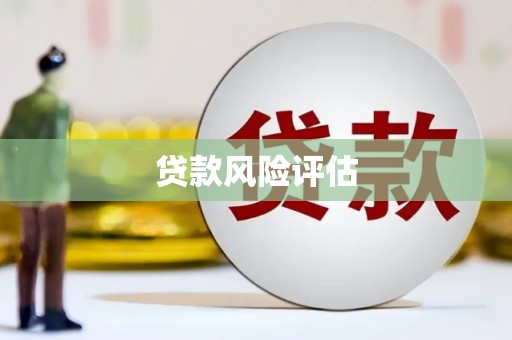 镇雄贷款风险评估