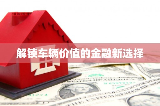 镇雄解锁车辆价值的金融新选择