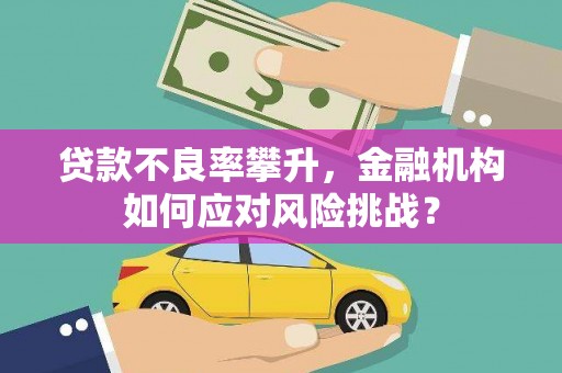 镇雄贷款不良率攀升，金融机构如何应对风险挑战？