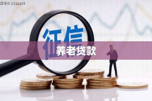 镇雄养老贷款