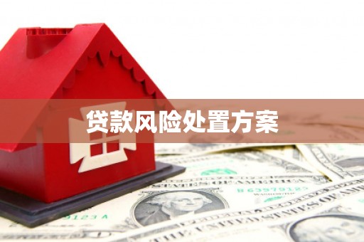 镇雄贷款风险处置方案