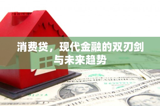 镇雄消费贷，现代金融的双刃剑与未来趋势