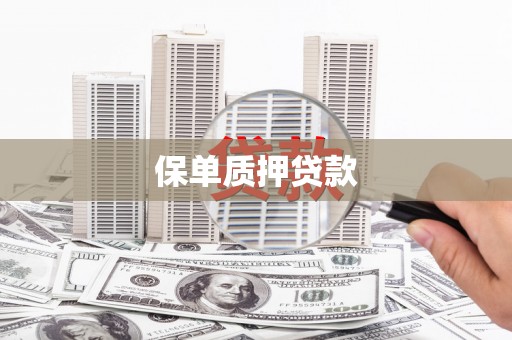 镇雄保单质押贷款