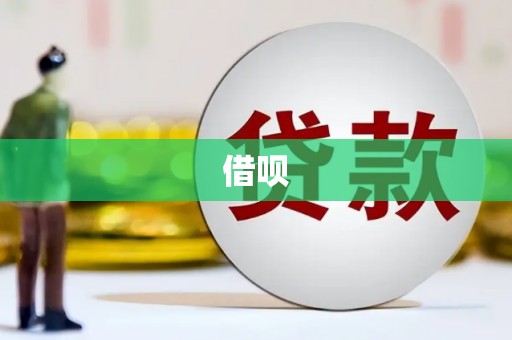 镇雄借呗