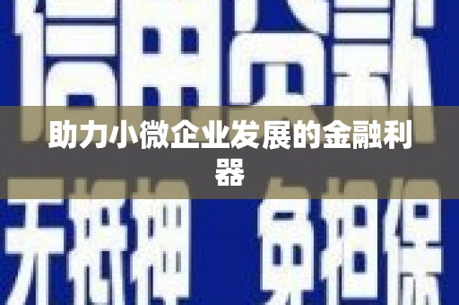 镇雄助力小微企业发展的金融利器
