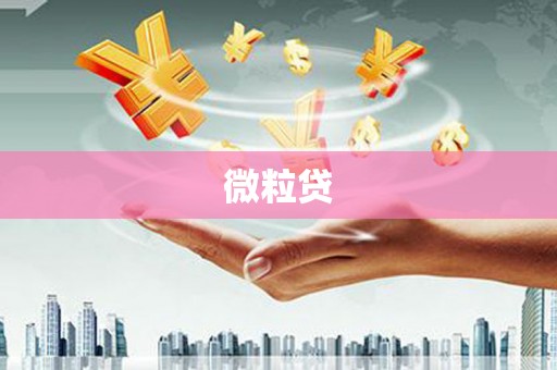 镇雄微粒贷