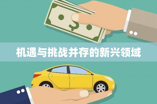 镇雄机遇与挑战并存的新兴领域