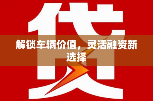 镇雄解锁车辆价值，灵活融资新选择